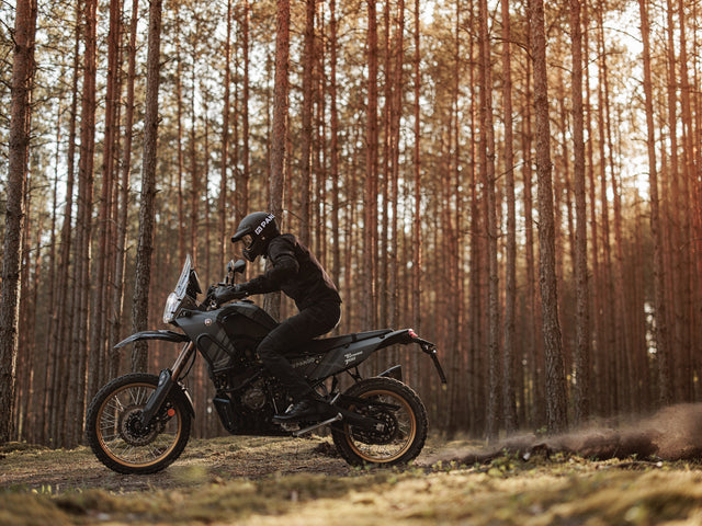 Pandomoto / Lithuania