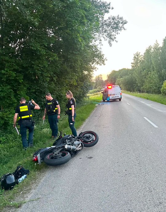 Crash Tested: An Unexpected Animal, Lost Consciousness, and the Gear That Saved Her Skin