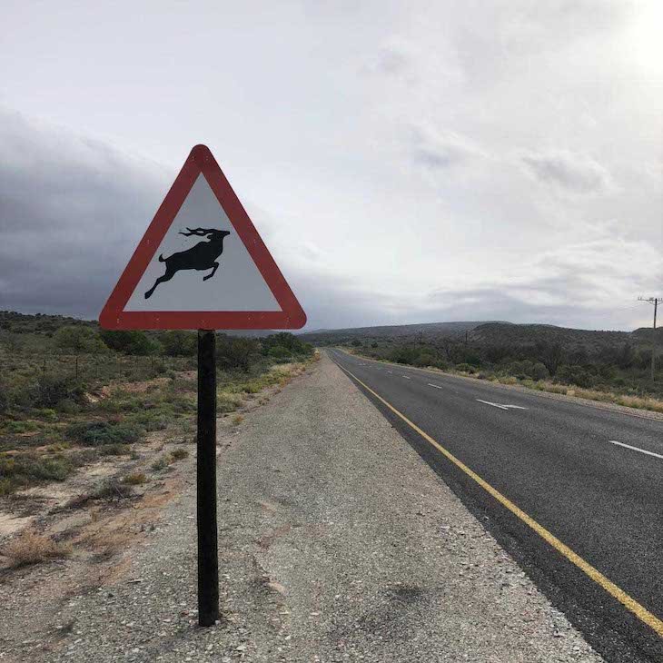 Running antelope sign in South Africa